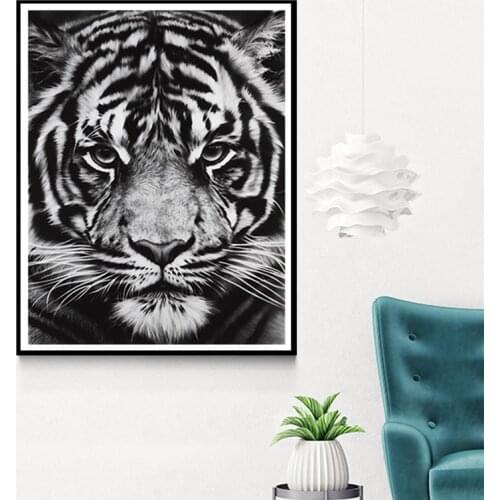 HD Photography Poster And Print Cheetah Shark Wild Animal Canvas Painting Wall Art For Living Room Modern Nordic Home Decoracion