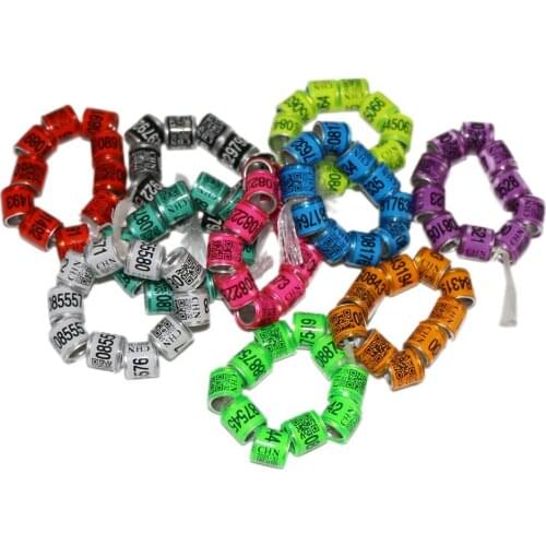 50 Pcs Pigeon Foot Ring With Word Earrings 2020 Quality Durable Bird Ring Pheasant Foot Ring Multicolor Bird Mark