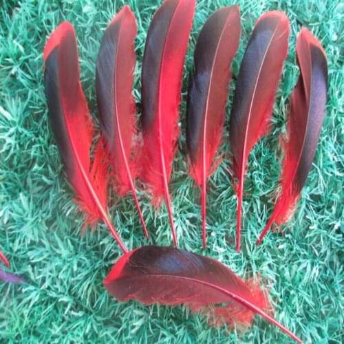 Wholesale 20 PCS/a lot of beautiful red duck feathers 4-6 inches / 10 to 15 cm clothing hat DIY decoration
