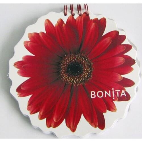 Professional supply Shaped flower sticky notices , Customized special-shaped Sticky , with your logo , item BPP011