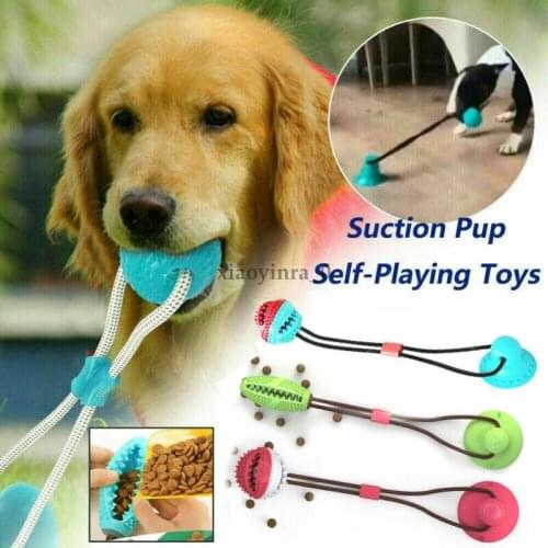 Suction Cup Dog Push Toy with TPR Ball Pet Tooth Cleaning Chewing Rubber Dog Toys for Small Dogs Rubber Dog Toy Pet Toys