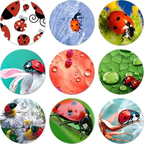 Ladybug insect Badge Brooch Pin Accessories For Clothes Backpack Decoration gift 58mm