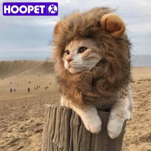 Шапки для собак Hoopet China At AliExpress