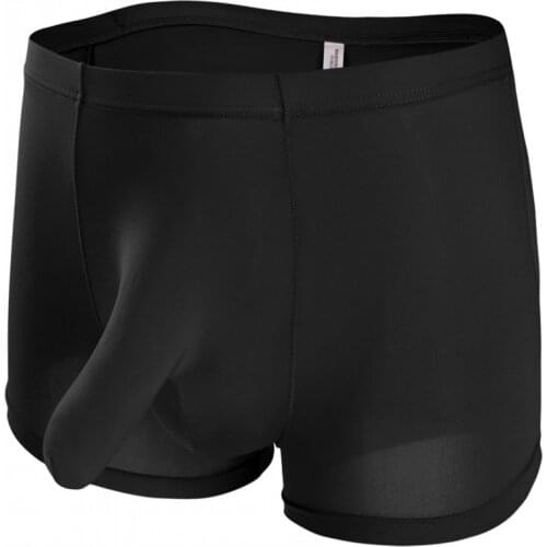 Fun panties Mens underwear Sexy boxers shorts elephant nose JJ silk underwear ice men pants