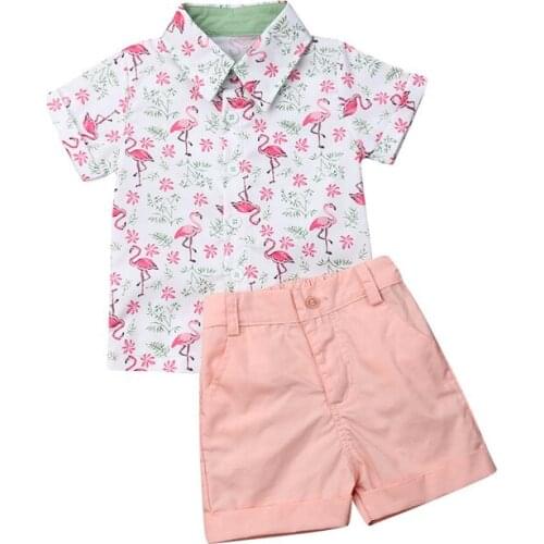 Toddler Kids Baby Boy Gentleman Clothes 2PCS Flamingo short sleeve Shirt Tops and pink Shorts summer Outfit 1-6T