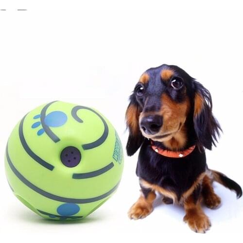 High quality Funny Woggle Dog Play Ball with Funny Sound Indoor or Outdoor pets mate Pet Toys Cat Train Ball