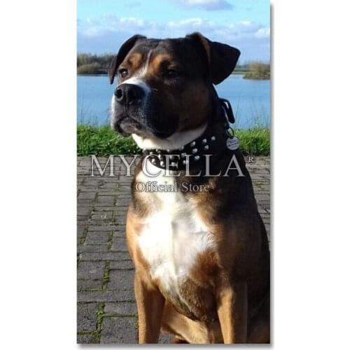 Christmas gift Animals 5D Diy Diamond Painting Full Dog Mosaic Pasted Diamond Embroidery Needlework Cross Stitch Home Decor