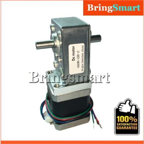 58SW-42BY 12Volt DC Stepping Geared Motor Dual Output Shaft 24V 4-wire Worm Stepper Reduction Motor High Torque Self-locking