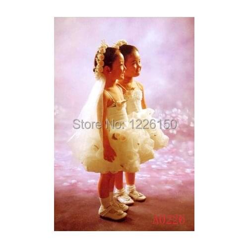 10 x20ft/3*6m Hand Painted Fantasy photo backdrop A0226 , fundo para fotografia,muslin Background, studio props photography