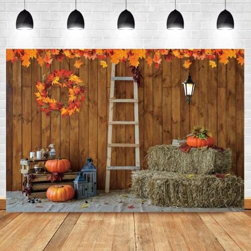 Autumn Farm Warehouse Harvest Pumpkin Fruits Haystack Ladder Party Photography Background Photozone Photo Backdrop Photocall