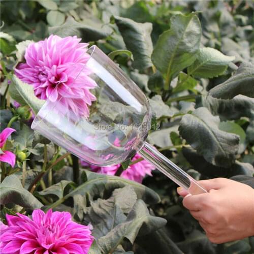 8 inch clear crystal singing bowl with handle and musical note F# chakras and free suede mallet