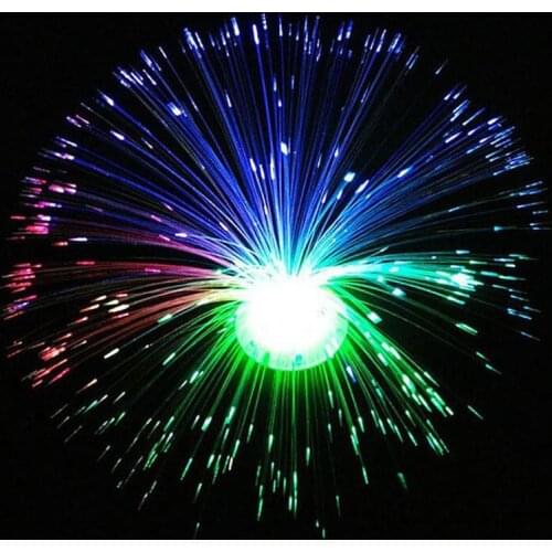 Colorful LED Optic Fiber Flower Light Star Sky Shaped Home Lamp Day Valentine Night Festival Party Decoration Atmosphere K3N6