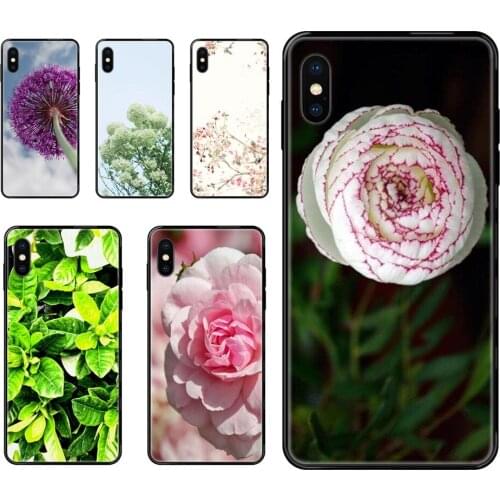 Black Soft TPU Cell Phone Case Plant Flowers Green Bunny Ears Cactus Colours For Redmi Note 4 5 5A 6 7 8 8T 9 9S Pro Max