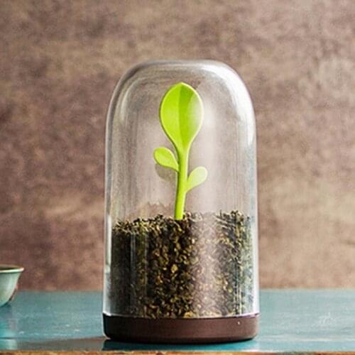 Tank Sealed Tea Cans Glass Bottle Storage Cereals Transparent Storage Jars Coffee Contains Tea Caddy Green Shoots Home Storage