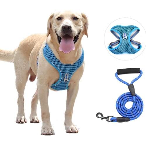 2pcs Pet Leash Chest Strap Reflective Explosion Proof Polyester Pet Dog Traction Rope for Outdoor Walking Supplies