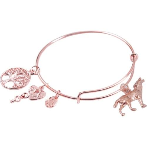 5PCS Rose Gold Color Plate animal dancer hope ect Charm Expandable Wire Bracelet Bangle
