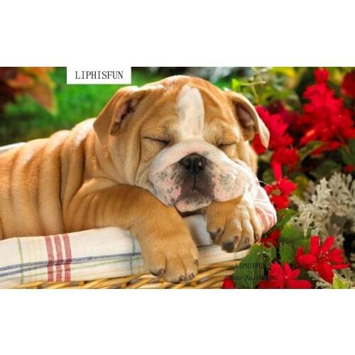 Diy Diamond Painting Animal Diamond Cross Stitch Resin Square Diamond Sets Unfinished Full Diamond Embroidery Dog