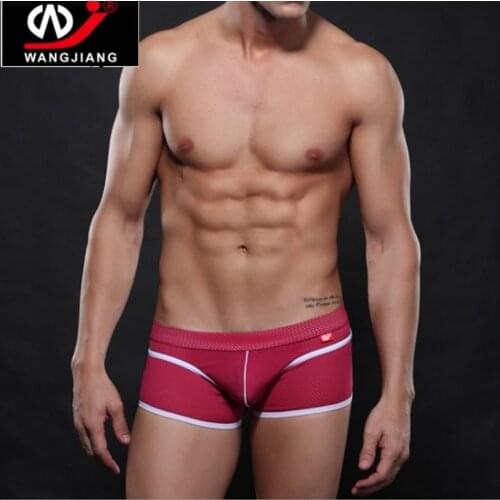 Hot Sale Mens Boxer Underwear panties Breathable Mesh Silk Mens Boxer Shorts Underwear Sexy Ondergoed Men 2pcs/lot