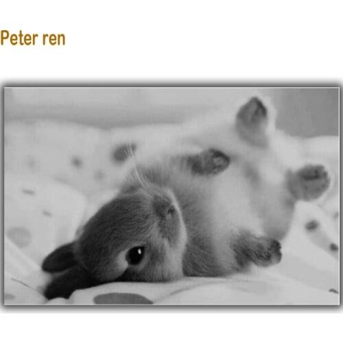 A spoiled the rabbit Diamond painting Diy craft Needlework Mosaic Cross stitch beads Picture of rhinestones Diy Diamond Drawing