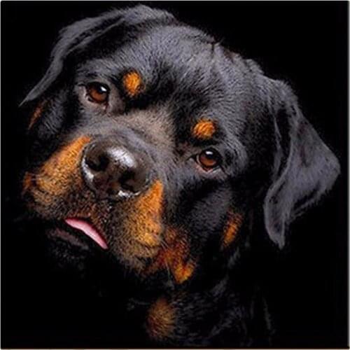 Full Drill Black Dog DIY 5D Diamond Painting Embroidery DIY Paint By Number Kit Home Wall Decoration