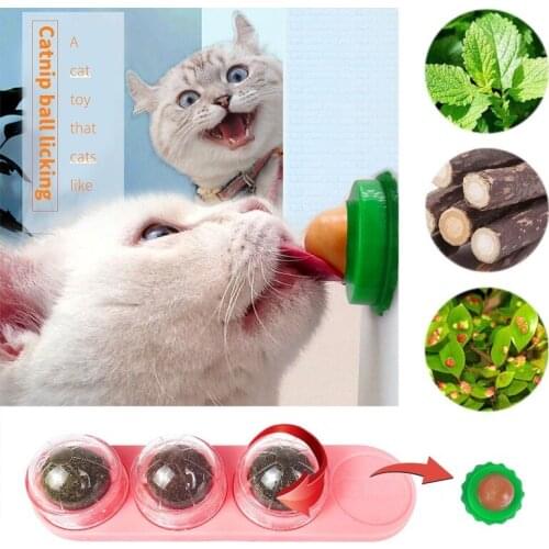 Natural Catnip Cat Toy Crazy Healthy Catmint Toys for Cats Kitten Cleaning Teeth Play Ball Cat Supplies Pet Accessories