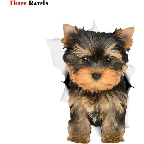 Three Ratels 1074 3D Adorable Yorkie Dog Sticker Dog Decals for Walls Fridge Cars Toilet Luggage Skateboard Laptop