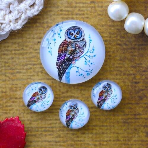 12mm 25mm 14mm 16mm 18mm 20mm Photo Glass Cabochons Round Cameo Set Handmade Settings Stone Owl 041