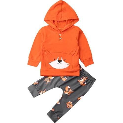 Spring Autumn Baby Clothing Toddler Baby Girl Boys Fox Cotton Pocket Hooded Tops + Trousers Pants 2Pcs Winter Clothes