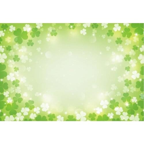 Holiday Backdrop Green Colver Champagne Photography Background Celebration Photo Booth Studio Decor