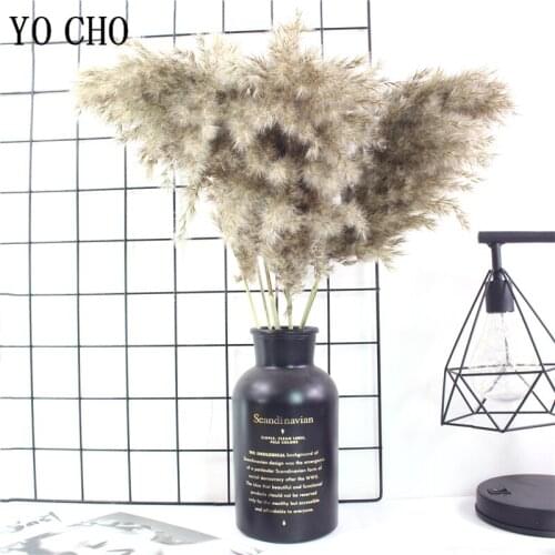9 PCS Dried Plants Pampas Grass Natural Phragmites Wedding Flower Bunch Raw Color Artificial Cotton Home Decoration Accessories