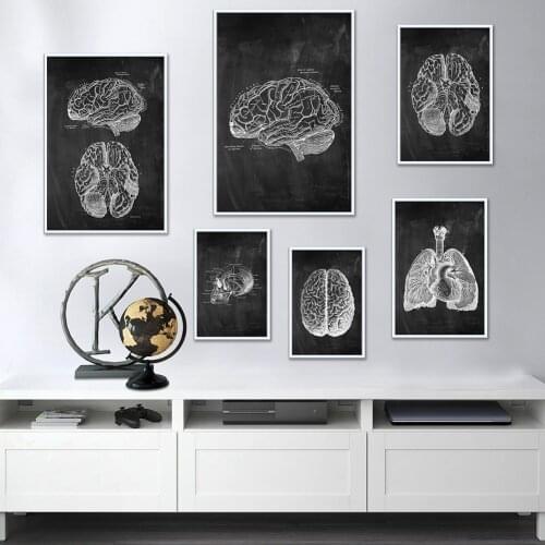 Human Anatomy Poster Vintage Canvas Painting Medical Skeleton Organ Muscular System Picture Body Education Artwork Home Decor