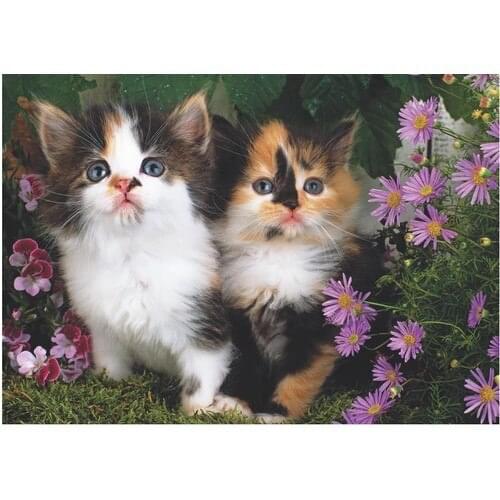 Sharp Color 500 Puzzle Cats