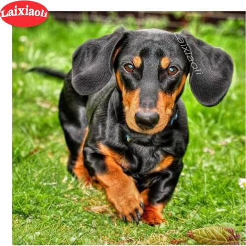 Dachshund Dog pattern diamond painting rhinestones full square round drill diamond embroidery mosaic cute puppy cross stitch pet