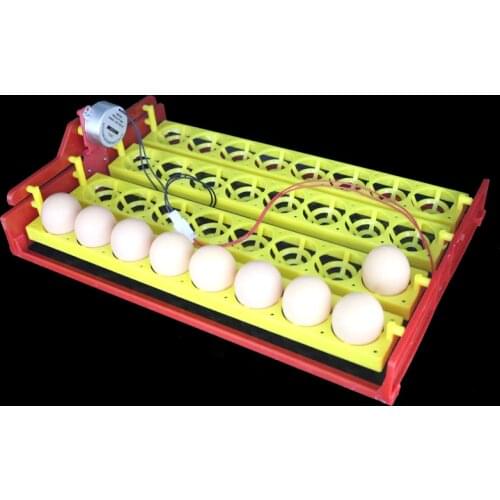 32 Eggs Turn Tray Automatic Incubator Egg Tray Chicken Duck Eggs Tray 110V / 220V /12V 4 * 8 Holes Poultry Incubation Equipment
