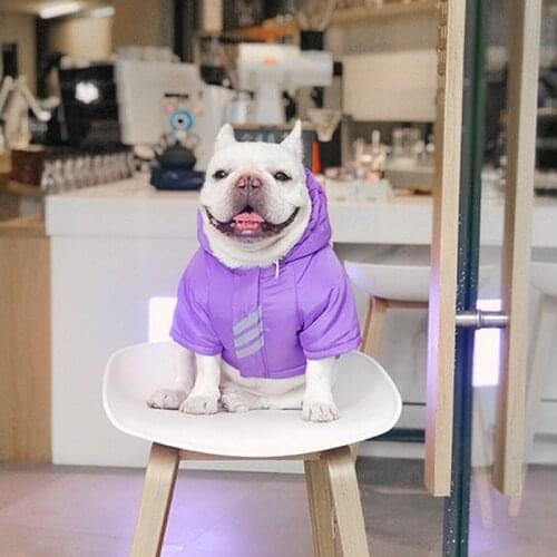 Dog clothes for medium dogs french bulldog dog coat pet clothes dog clothing purple dog winter jacket dog accessories pets