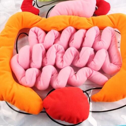 Anatomy Organs Apron Human Body Organs Aware Early Educational Toy Teaching Aids 63HE