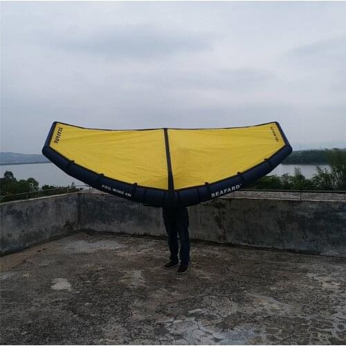 Professional Windsurfing Inflatable Kite Kiteboarding Water Flying Equipment