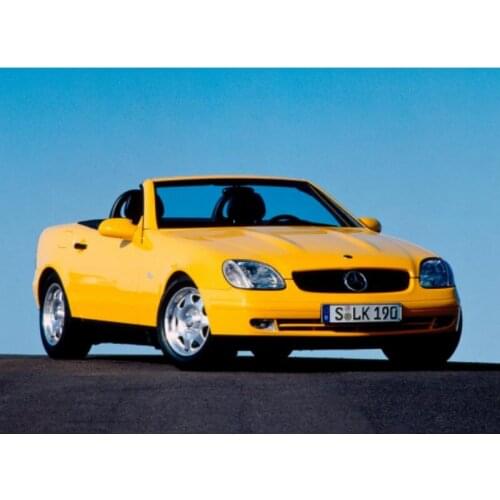 Fog lamps lights For mercedes r170 slk-class Real Cre-e Chip front rear turn light stop brake Lamp Canbus car accessories 2pc