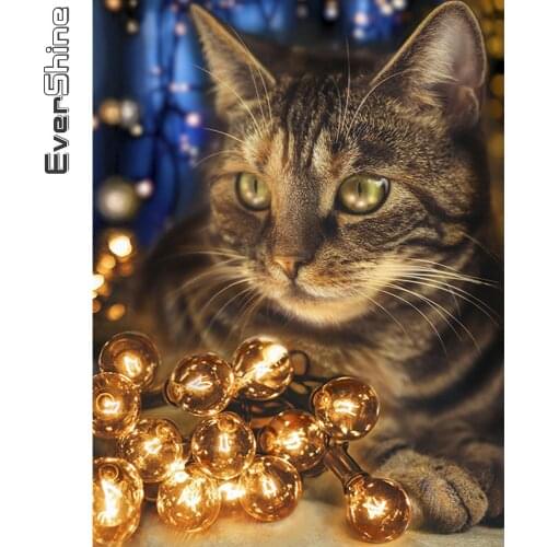 Evershine 5D DIY Diamond Painting Cat Mosaic Kit Diamond Embroidery Animals Cross Stitch Crafts New Arrival Home Decoration