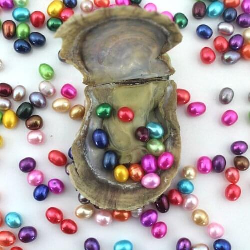 Wholesale Natural Saltwater Oval Pearls mix 23colors One Pearl Beads in One Pearl Oysters Birthday Jewelry Women Gifts EE077