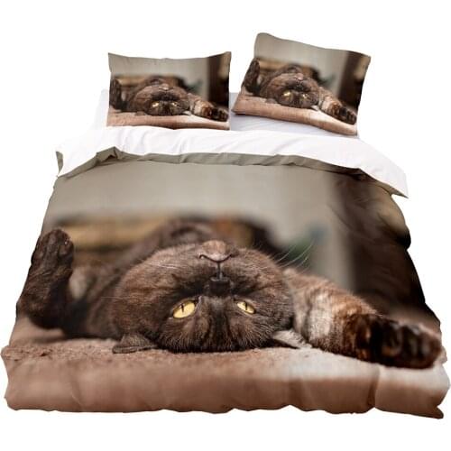 HD Printing Duvet Cover 200x200 Pillowcase 3Pcs,220x240 Quilt Cover,Blanket Cover ,Cat Basking In The Sun Pattern Bedding Set