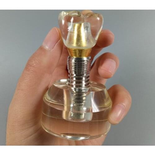 Detachable Implant Abutment Teeth Crown Model Dental Teaching Study Student Crystal Tool