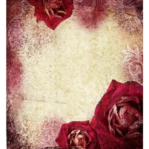 VinylBDS Green Screen Retro Simple White Background Red Flower Photography Studio Backgrounds