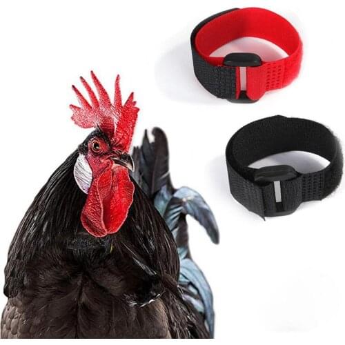 2Pcs Chicken Collar Anti Crow Noise Free Rooster Belt Adjustable Buckle Poultry Supplies for Ducks Farm Animal Carriers