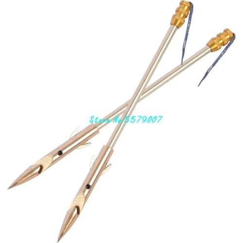 2pcs Golden Stainless Steel Fishing Darts Slingshot Catapult Fishing Broadhead Archery Arrowhead Tips