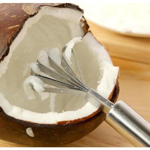 Stainless Steel Kitchen Fruit Coconut Shaver Tool Kitchen Fish Clean Scales Tools Kitchen Accessories SL5101