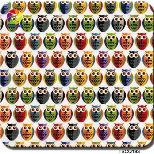 Free shipping 0.5mX2m/10m hydrographics water transfer CS193 wtp films