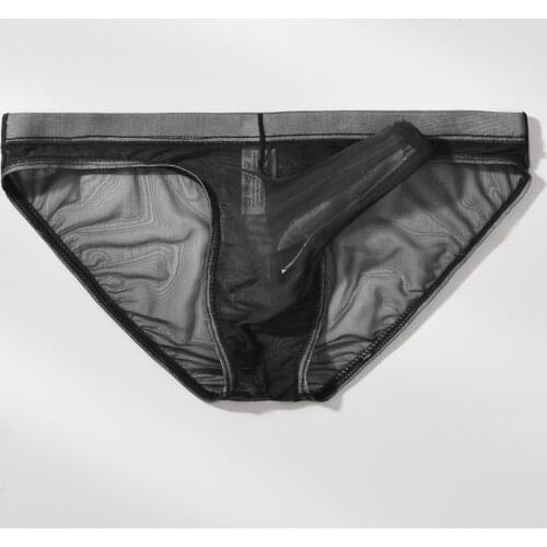 Mens Sexy Ultra-thin Mesh Underwear Men Gay Elephant Nose Transparent Panties Briefs See Through Men Underpants Slip Cuecas