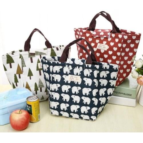2021 Portable Waterproof Lunch Bag for Women kids Men Functional Cooler Lunch Box Bag Tote canvas lunch bag Insulation Package