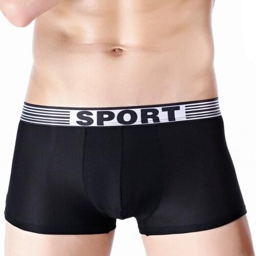 Mens Boxer Underwear breathable Mesh Sexy Boxers Shorts Boxershort Brand Men Solid Comfortable Underpants Panties 2pcs/lot